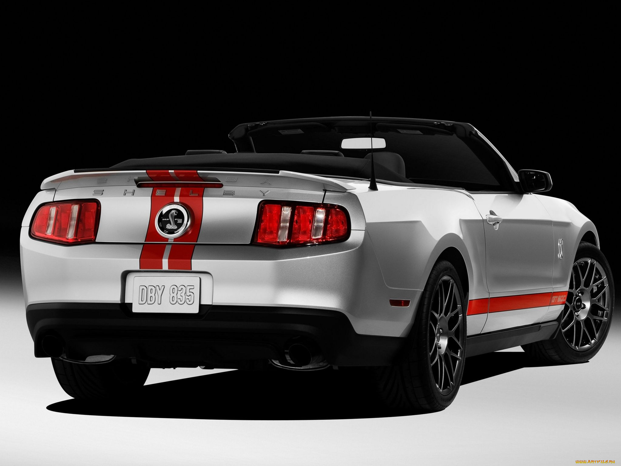 , mustang